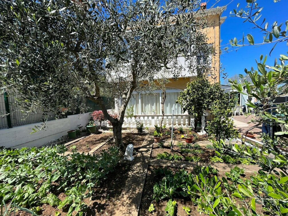 Фото Apartments Kekic