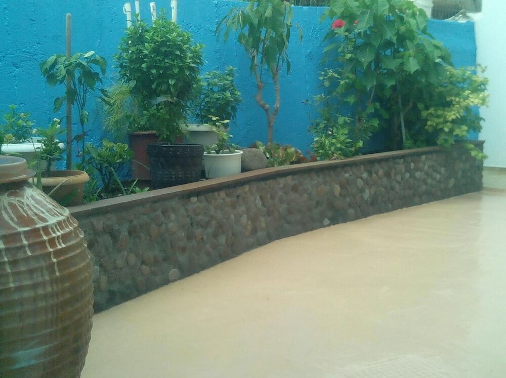 Фото Pension Gina