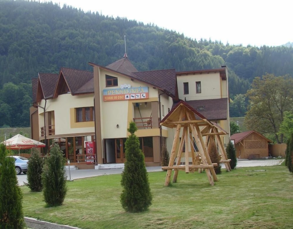 Фото Pensiunea Floare de Colt