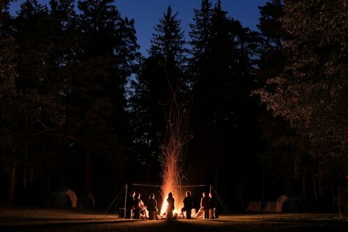 Гостиница Forest Camping Mozirje