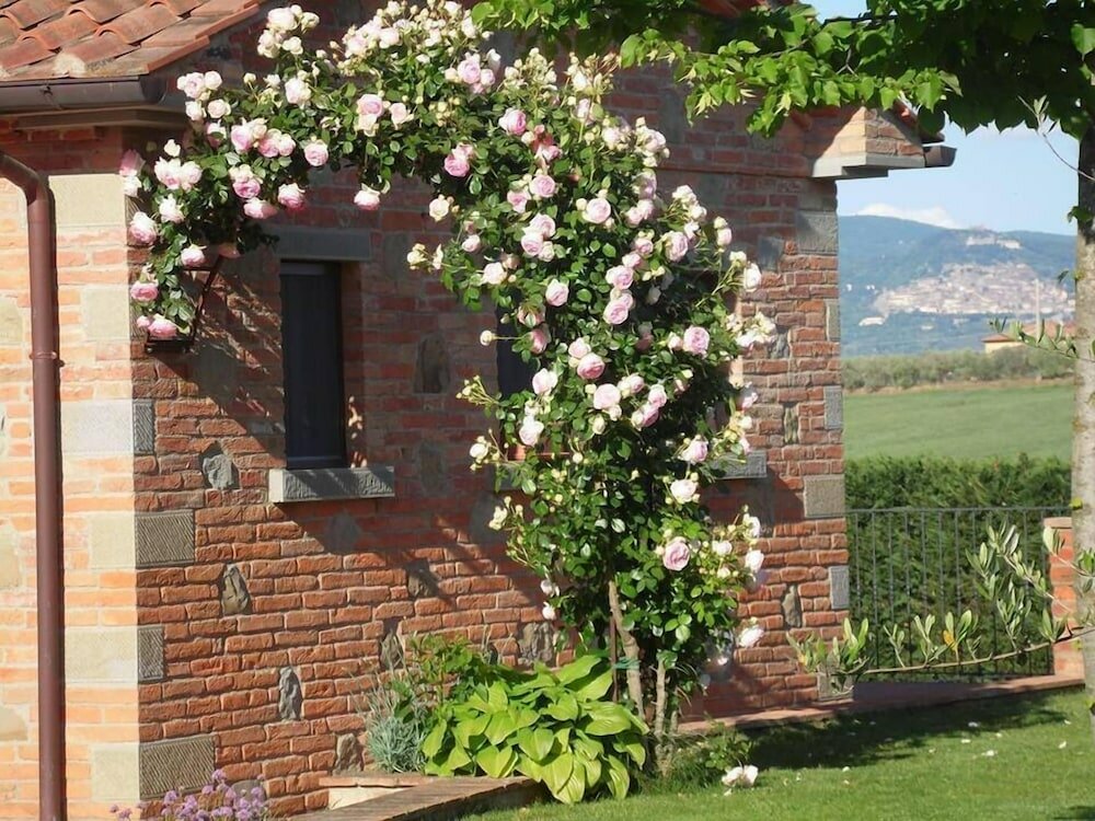 Фото Rosa dei Venti