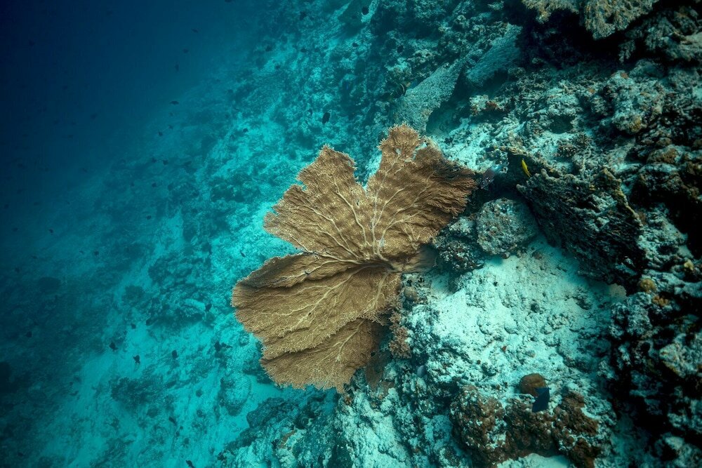 Фото Endheri Sunset