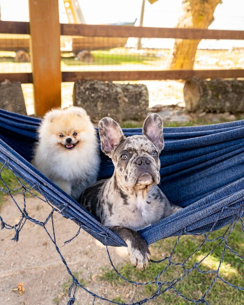 Фото Pousada Algodão da Praia