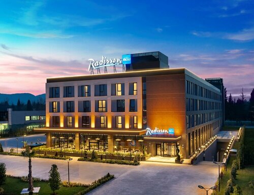 Гостиница Radisson Blu Hotel Sakarya в Арифие