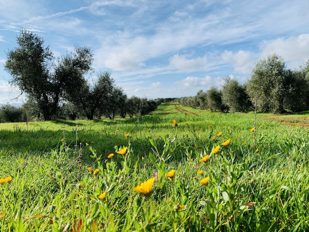Фото Tenuta Agricola Fraschiera