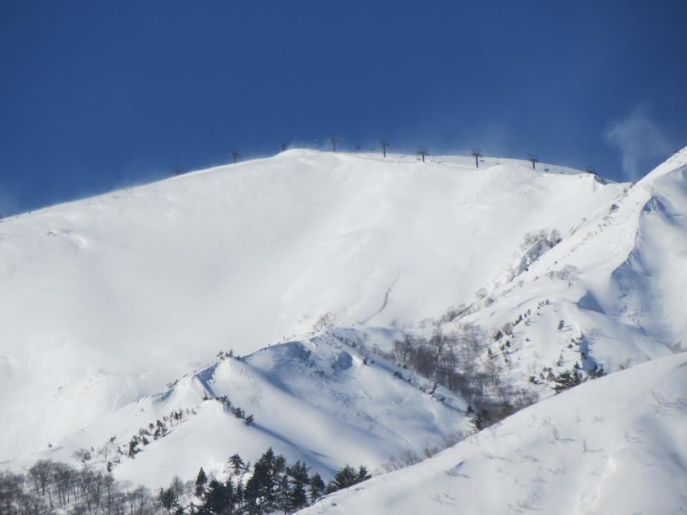 Фото Pension Marionette