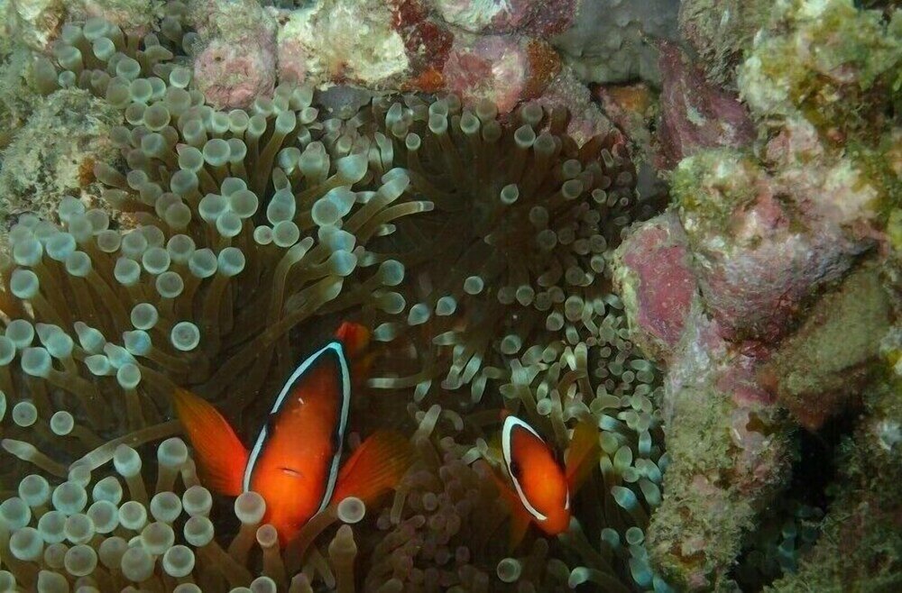 Фото Zerogravity koniya clubhouse