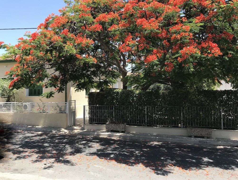 Фото Avgi's Home