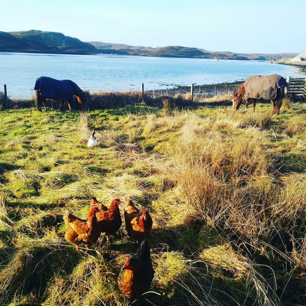 Фото Islebebythesea