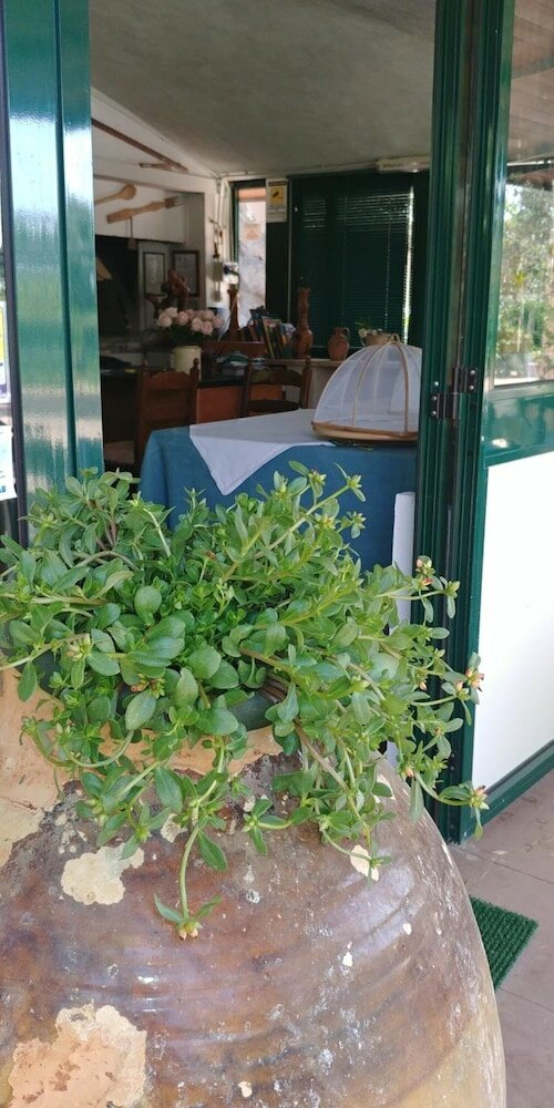 Фото La Piana degli Ulivi