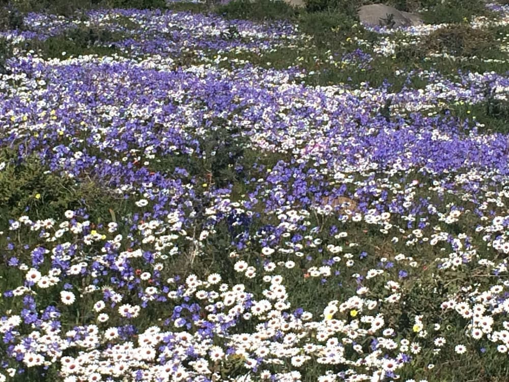 Фото Sandra's Guest House