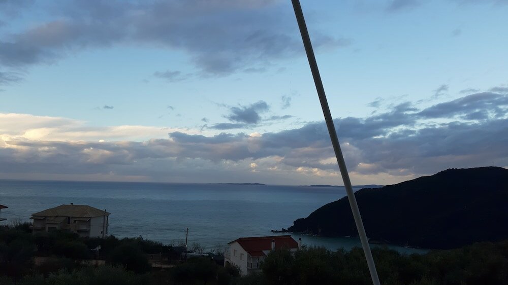 Фото Olive Tree Apartment