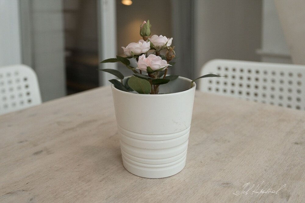 Фото Иван да Марья