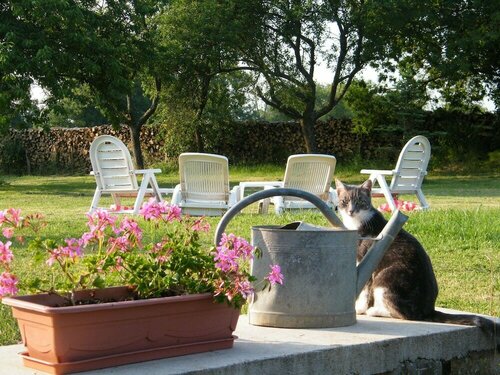 Гостиница Chambres d'hôtes la Datcha Bourguignonne в Боне