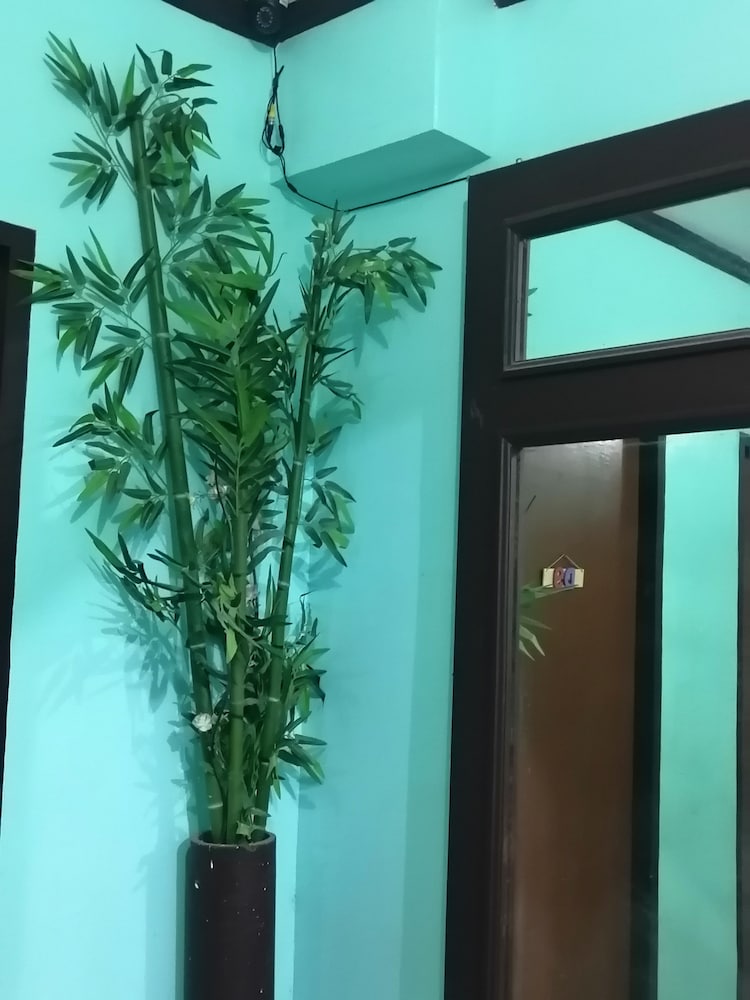 Фото Colors Boutique Hostel