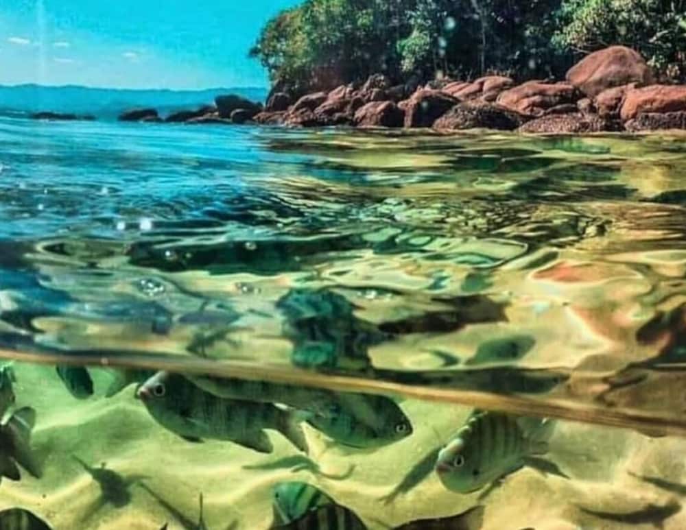 Фото Praialar Apartamentos