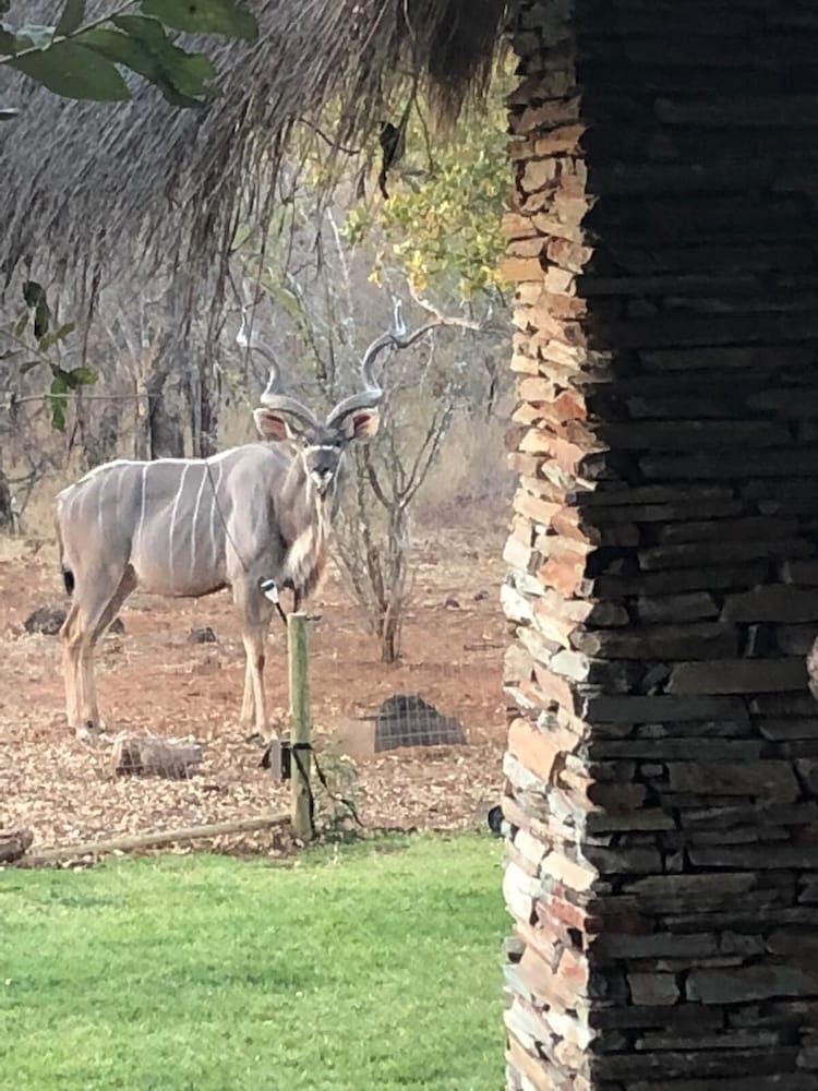 Фото Call of the Wild Lodge