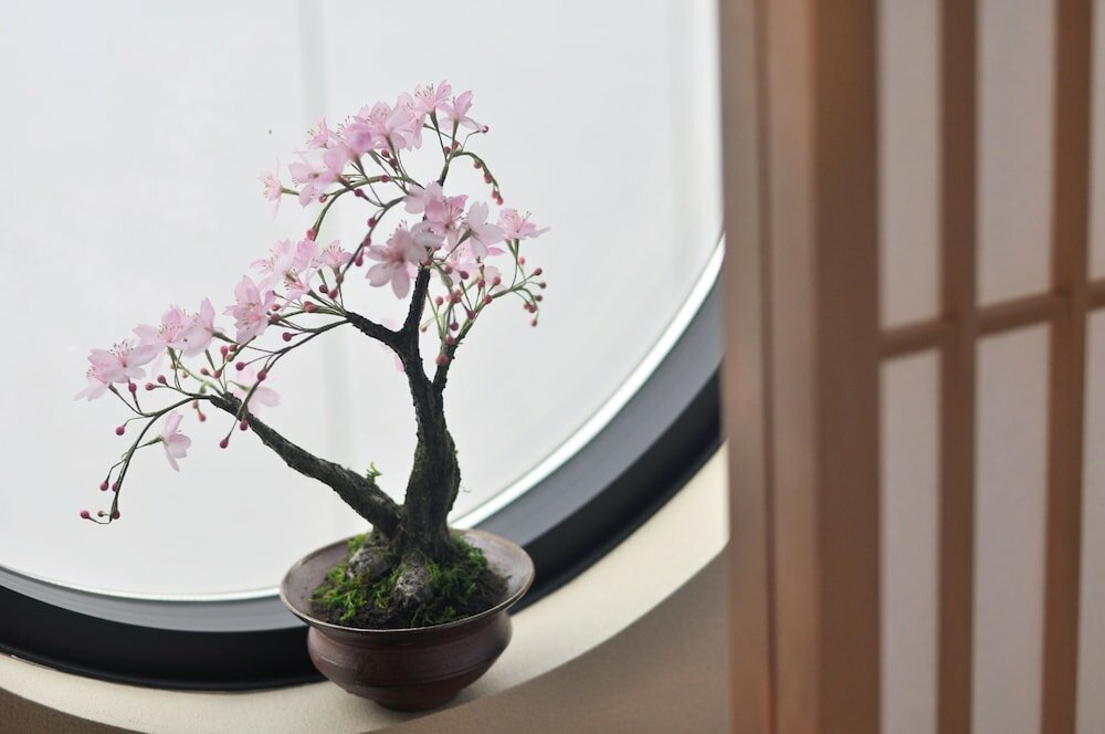 Фото Shirakabanoyado-keigetsu