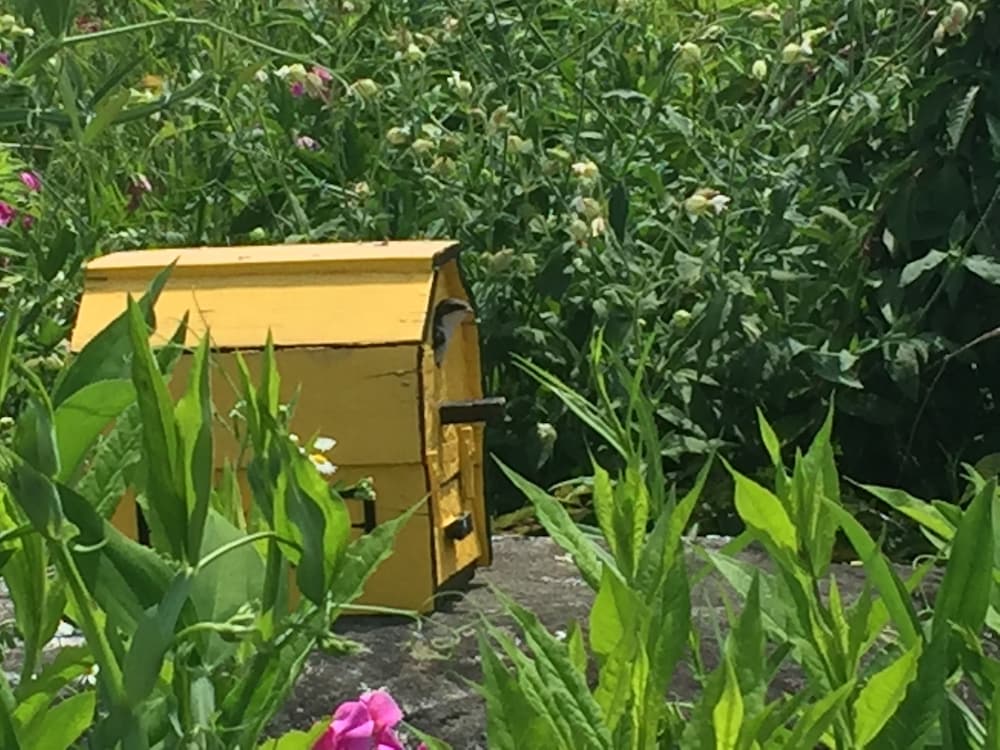 Фото Denmark Stage Stop House