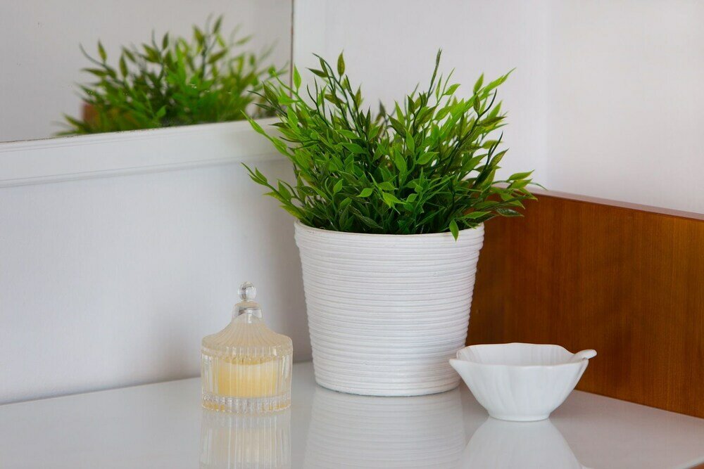 Фото Seaside Luxury Beach Apartment