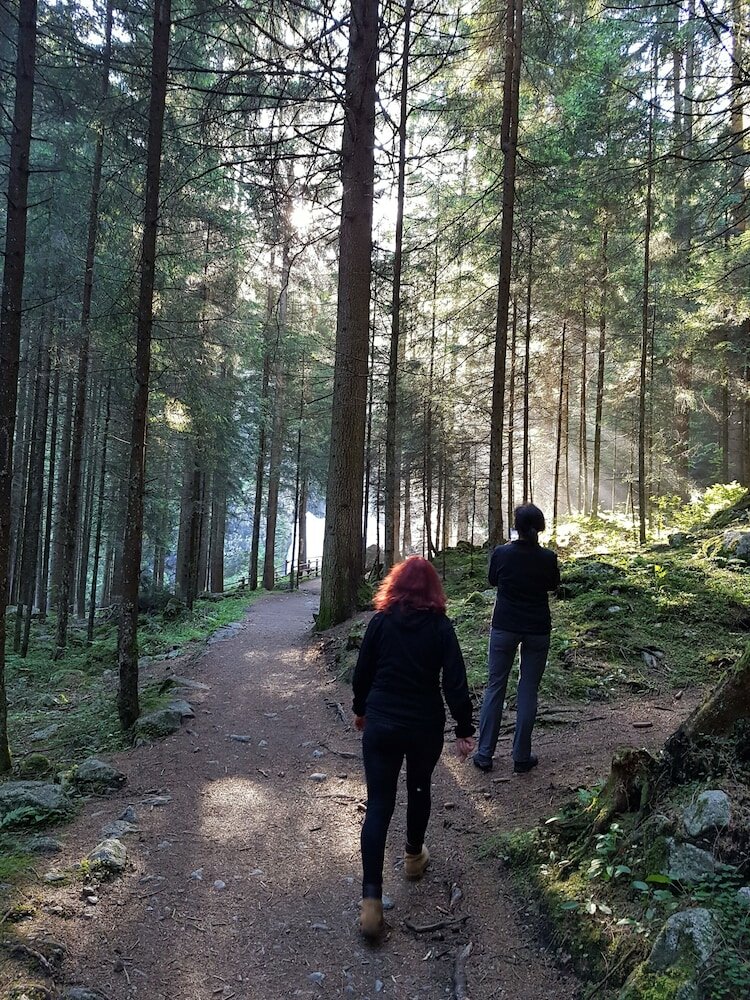 Фото Alphotel Stocker