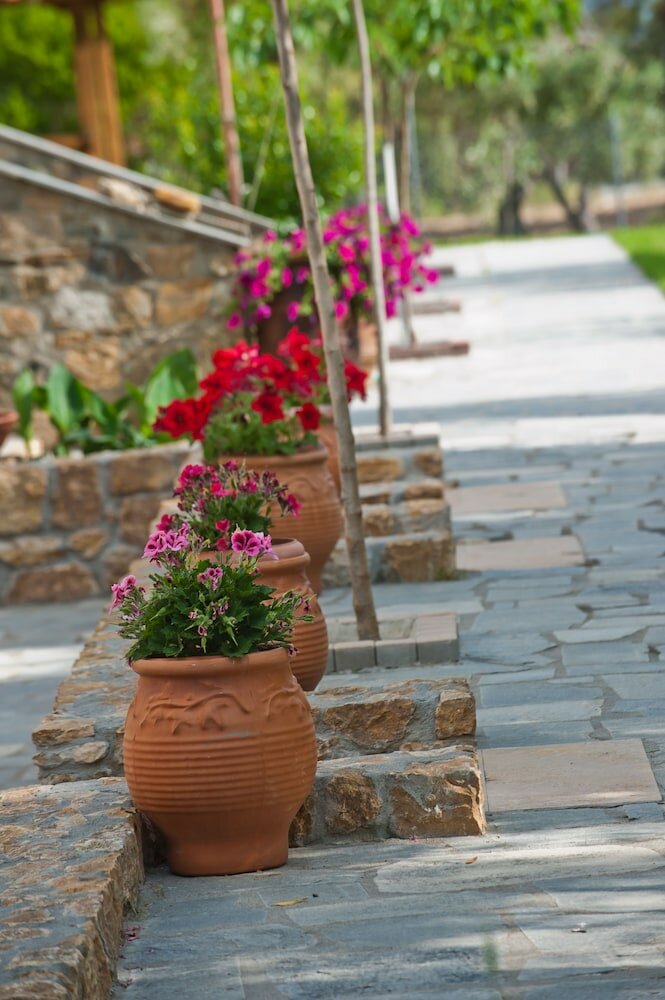 Фото Sofia's House