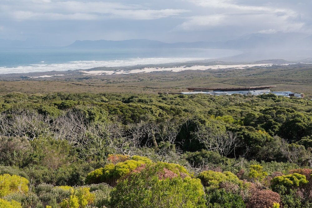 Фото Grootbos Nature Reserve