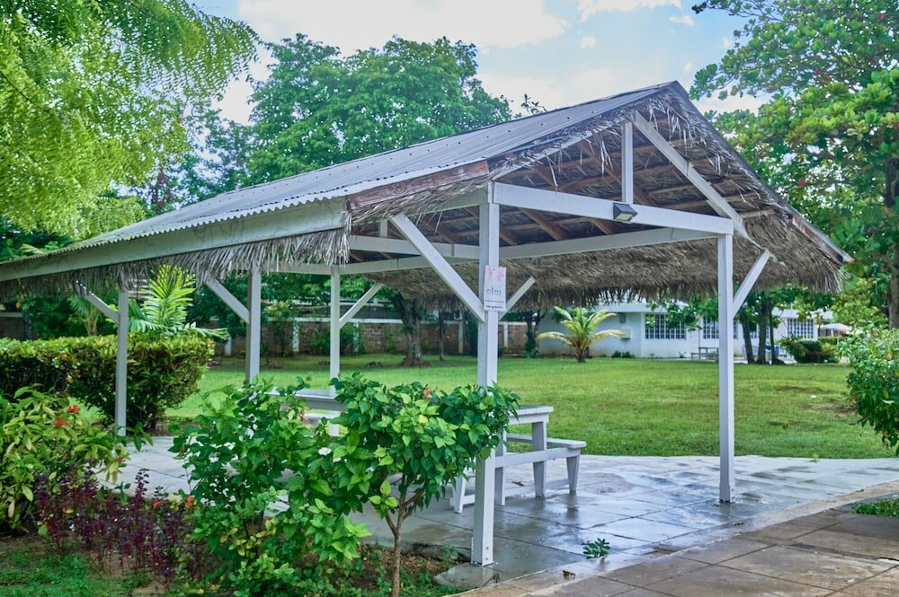 Фото The Yellow Bird