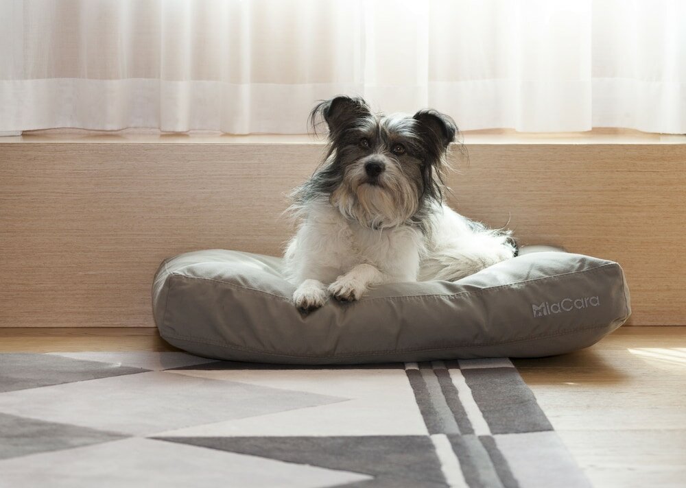 Фото The Guesthouse Vienna