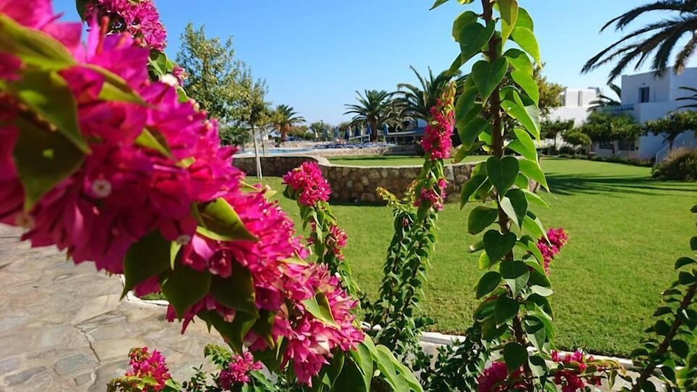 Фото Skiros Palace Hotel