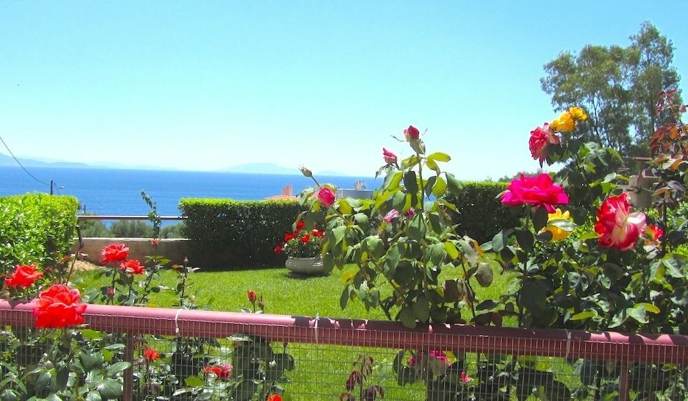 Фото Amalia Residences