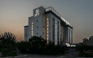 Гостиница Ariana Hotel