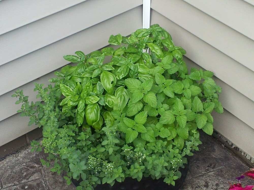 Фото Clarence Inn