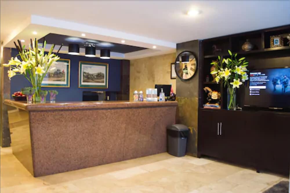 Фото Suites Berna Doce