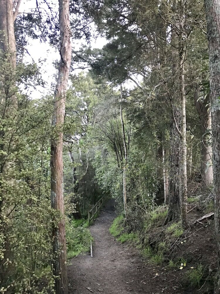 Фото Auckland Onestop