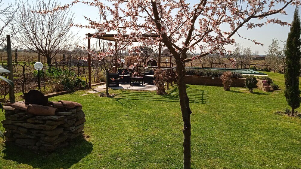 Фото Country House Podere Casorbica