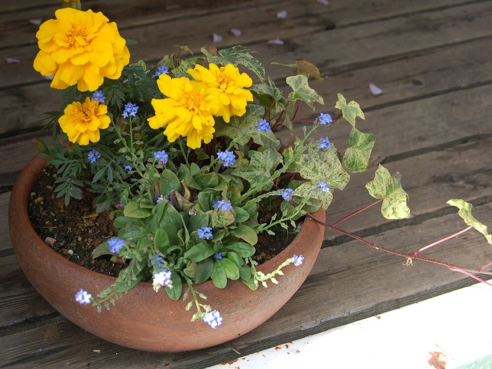 Фото Onsen Pension Hanasakiyama