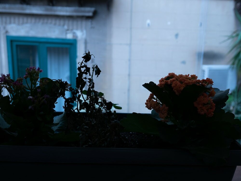 Фото San Francesco Rooms L. T.