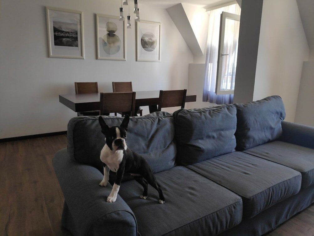 Фото Nicole Kopaonik