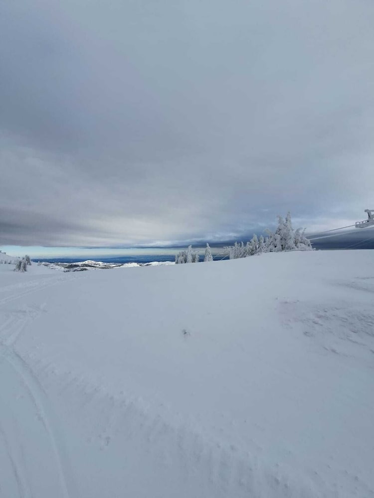 Фото Nicole Kopaonik