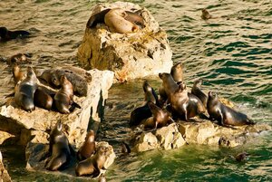 Гостиница Hotel Península Valdés