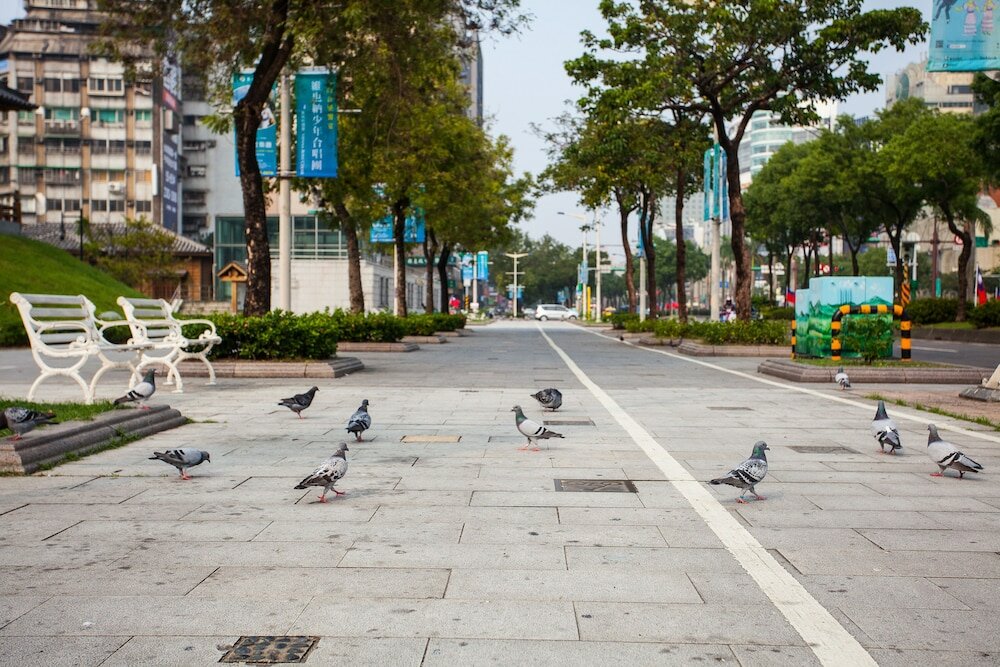 Фото Rich Garden Hotel