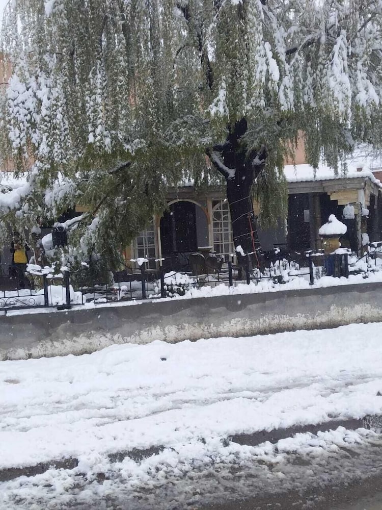 Фото Complexe Collier D'Ambre