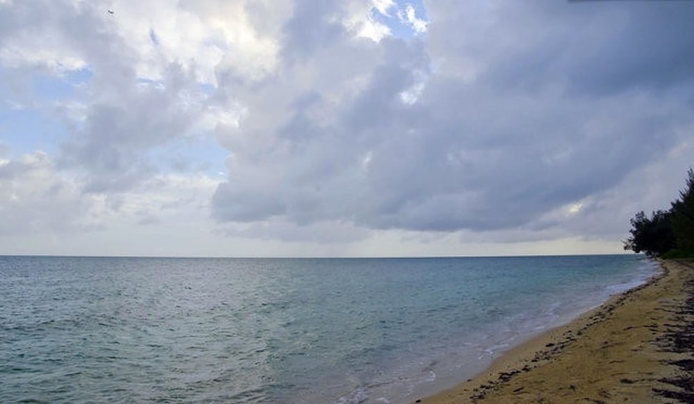 Фото Taste of Paradise