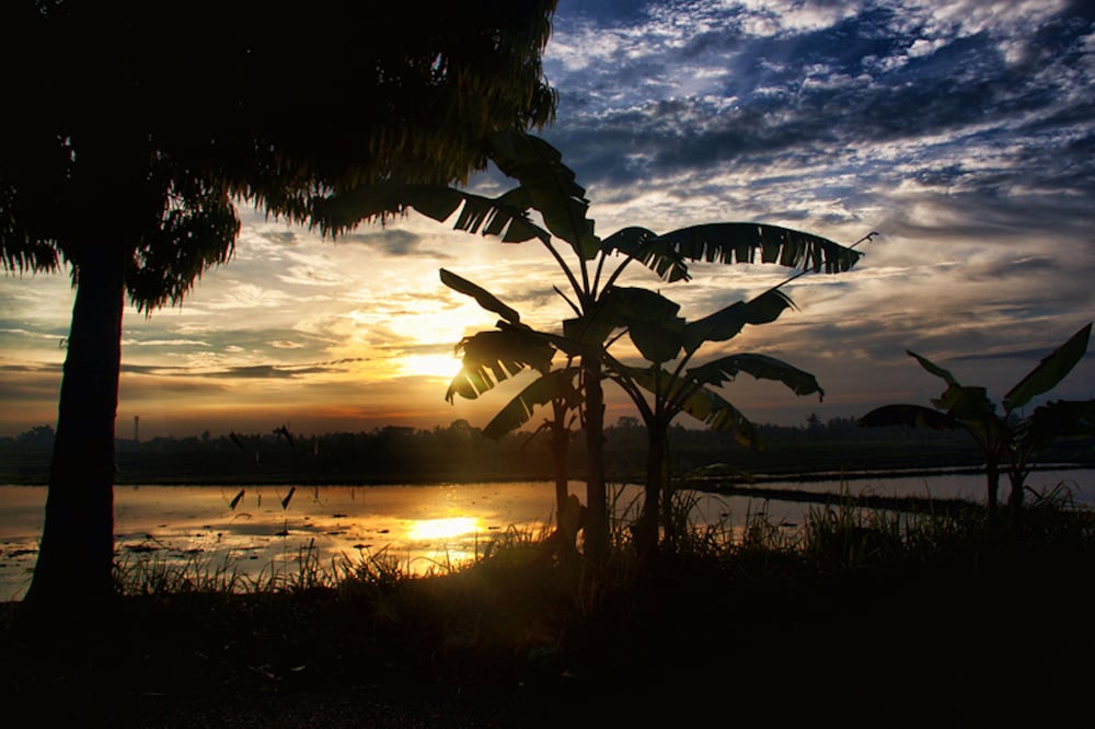 Фото Ngeluwungan Boutique Villa