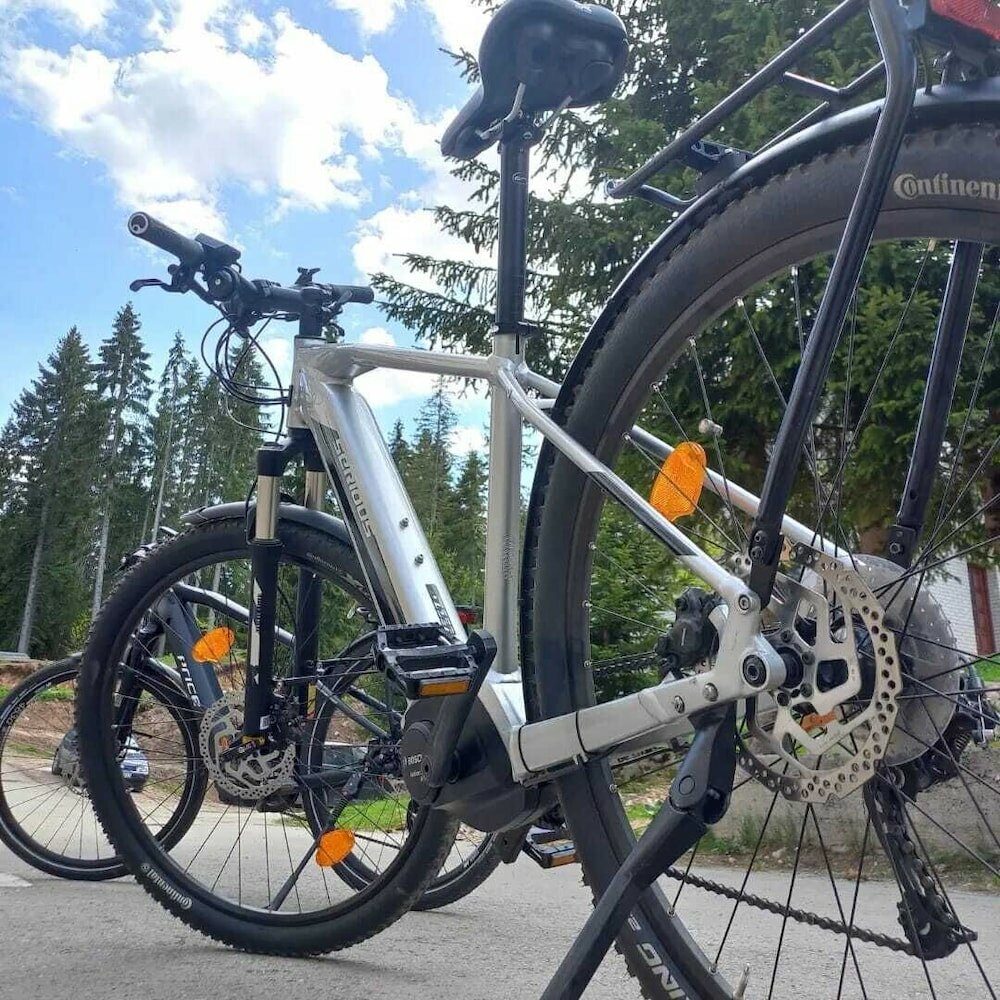 Фото Casa di Pino Eco Lodge