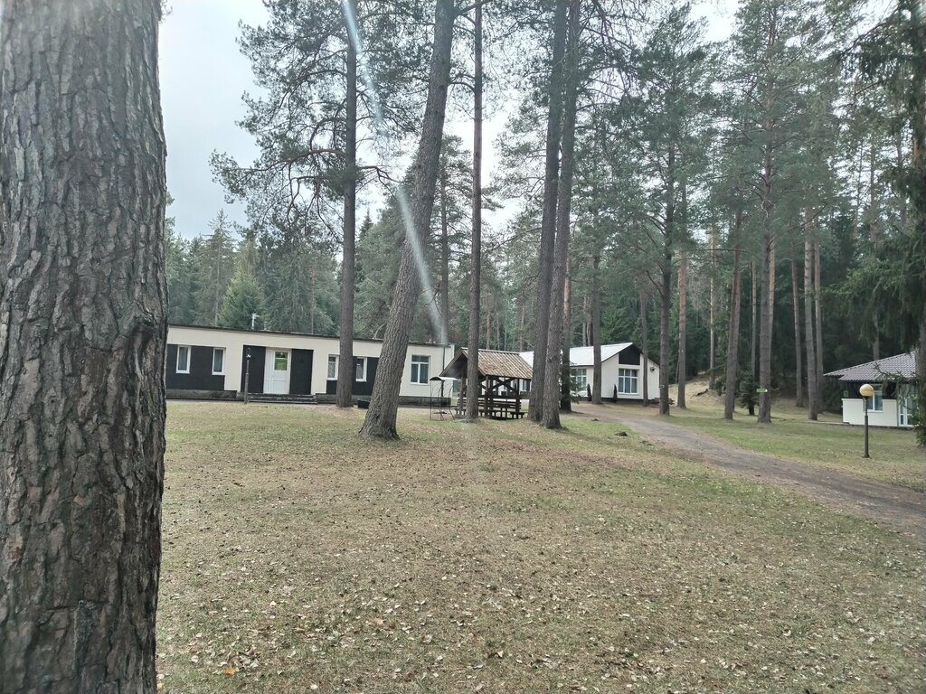 Турбаза Лесной Берег, Витебская область, фото