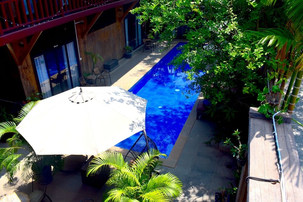 Фото Three Little Birds