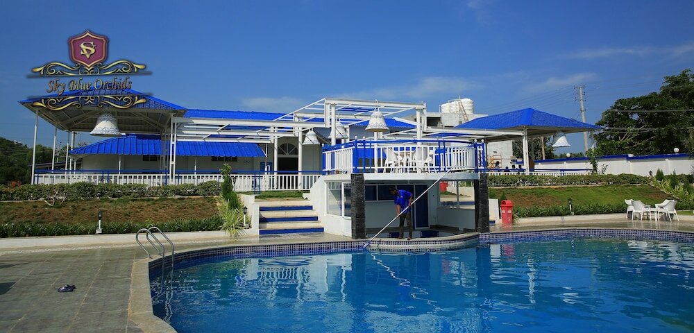 Фото SV Sky Blue Orchids