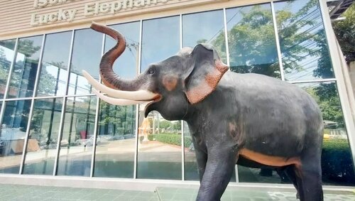Lucky Elephant Hotel